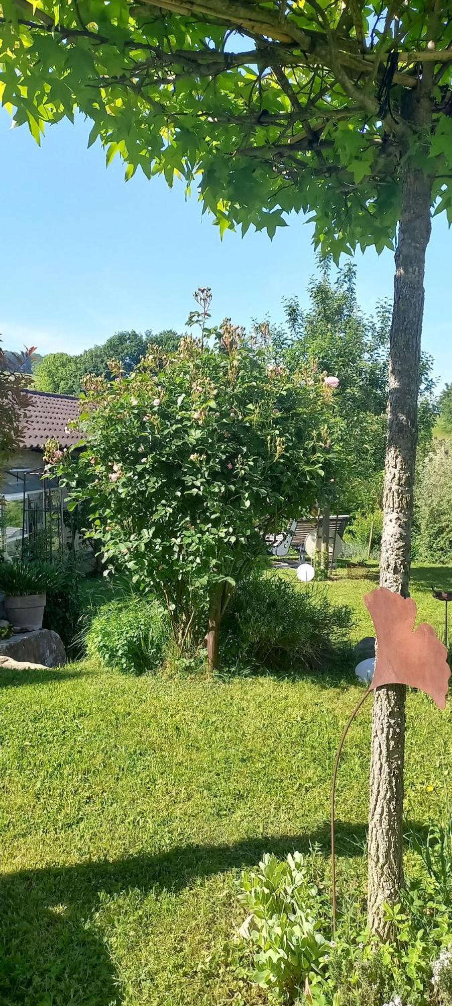 Ferienwohnung Rebgaertle Бритцинген Экстерьер фото